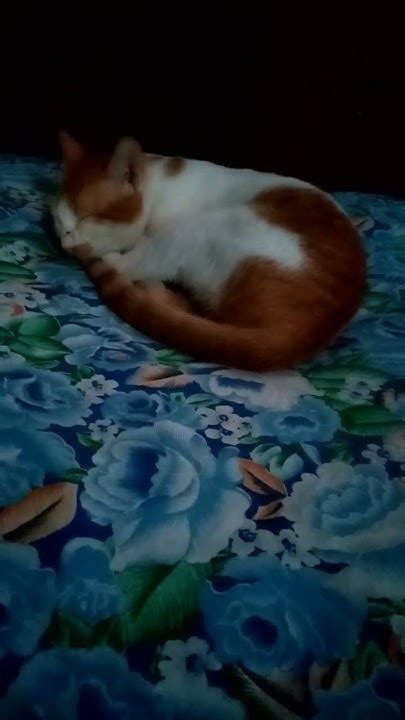 Ang Sarap Matulog sa Unan ni Susan .